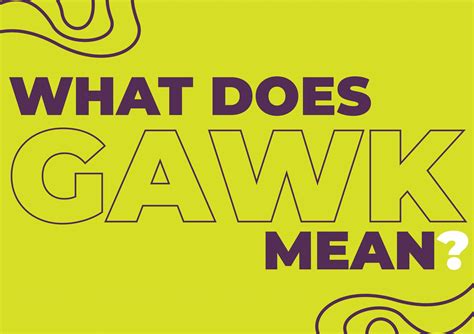 gawk gawk 3000 meaning|Gawk Meaning and Examples 